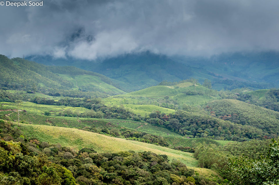 Photo of Munnar, Kerala, India by Deepak Sood