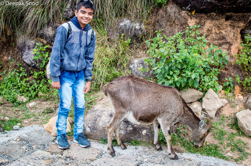 Photo of Munnar, Kerala, India by Deepak Sood