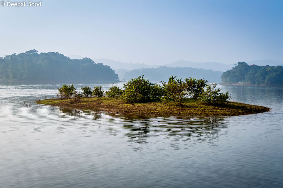 Photo of Thekkady, Kumily, Kerala, India by Deepak Sood