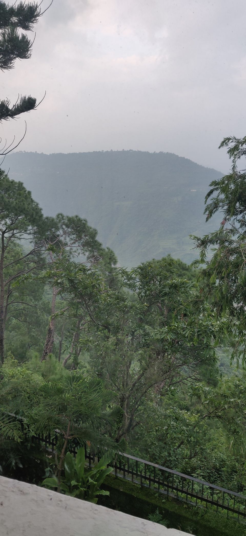 Photo of Morni Hills, Haryana by Ankur Bansal