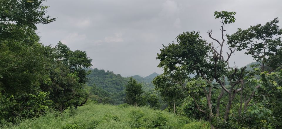 Photo of Morni Hills, Haryana by Ankur Bansal