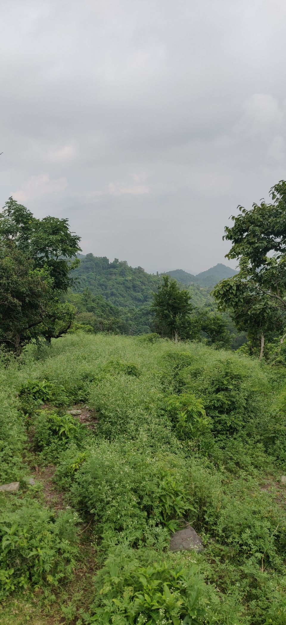 Photo of Morni Hills, Haryana by Ankur Bansal