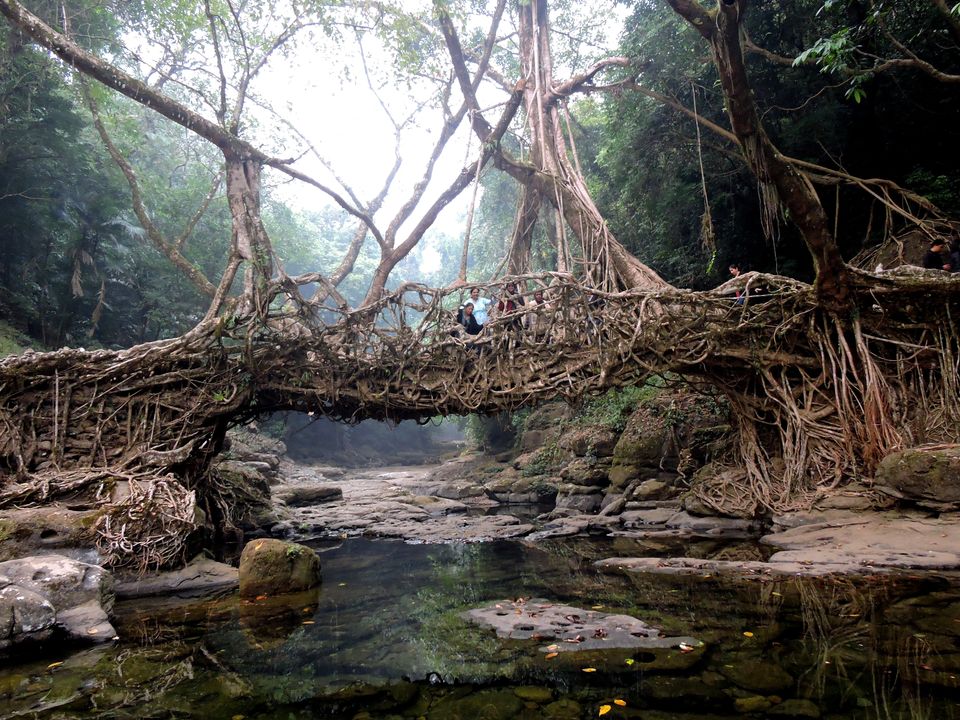 Photo of ESCAPE TO MEGHALAYA 2/2 by NEROUTES