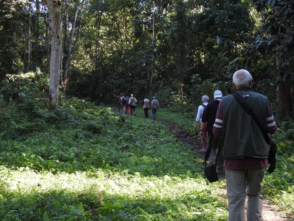 Photo of WILD TRAIL OF ASSM 5/5 by NEROUTES