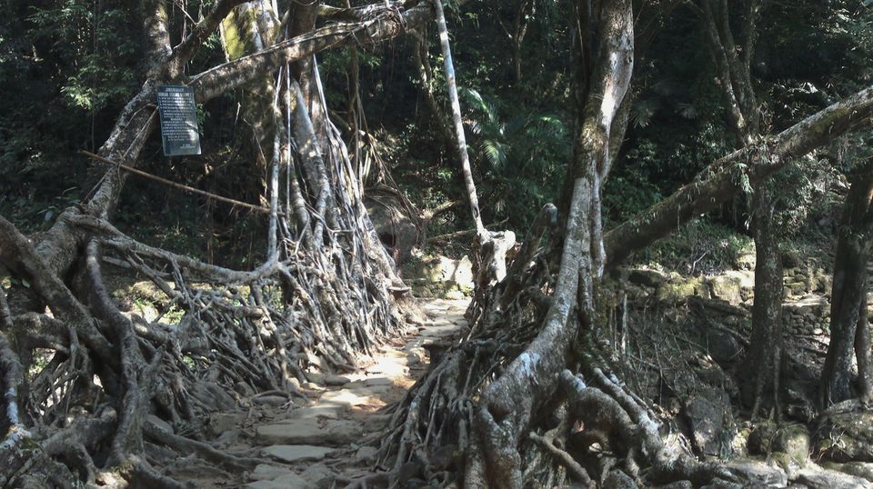 Photo of ASSAM & MEGHALAYA - wildlife and adventure 1/5 by NEROUTES
