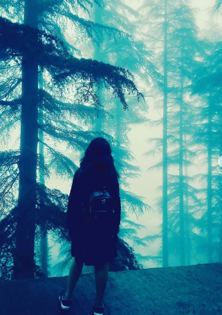 Photo of My Hermetical Spirit by Tamanna Arora
