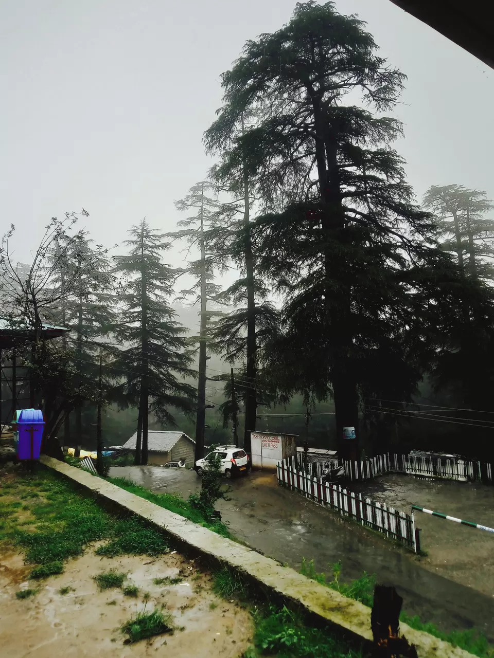 Photo of Khajjiar, Himachal Pradesh, India by Tamanna Arora