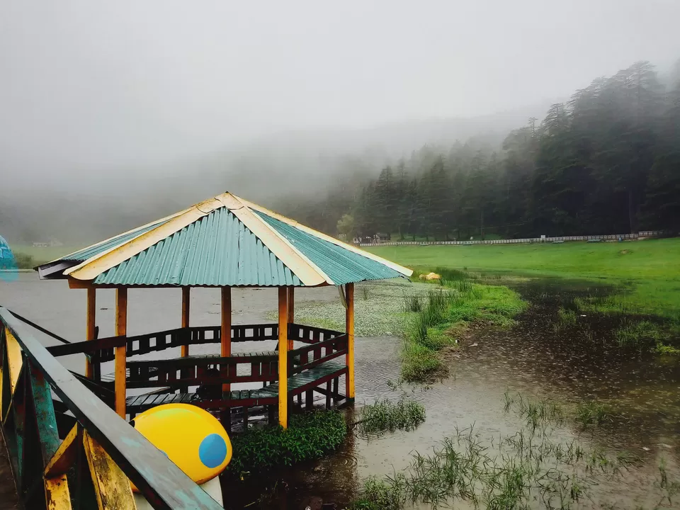 Photo of Khajjiar, Himachal Pradesh, India by Tamanna Arora