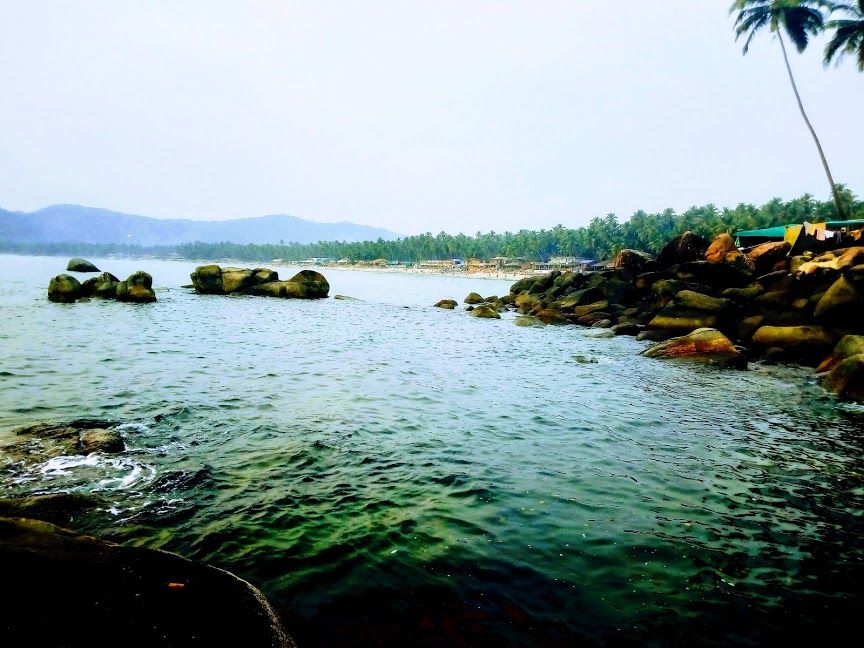 Photo of Stirring South Goa- #offbeatgoa by Tamanna Arora