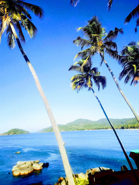 Photo of Stirring South Goa- #offbeatgoa by Tamanna Arora