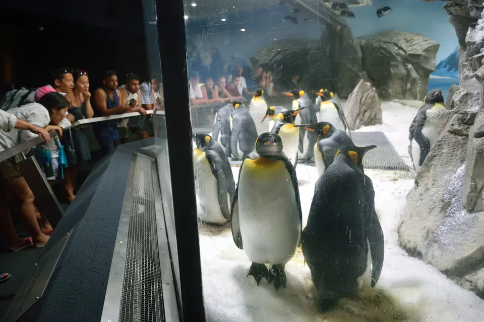 Photo of Sea World, Main Beach, Queensland, Australia by Dheeraj Balla