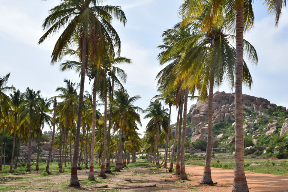 Photo of Hampi 1/32 by Dheeraj Balla
