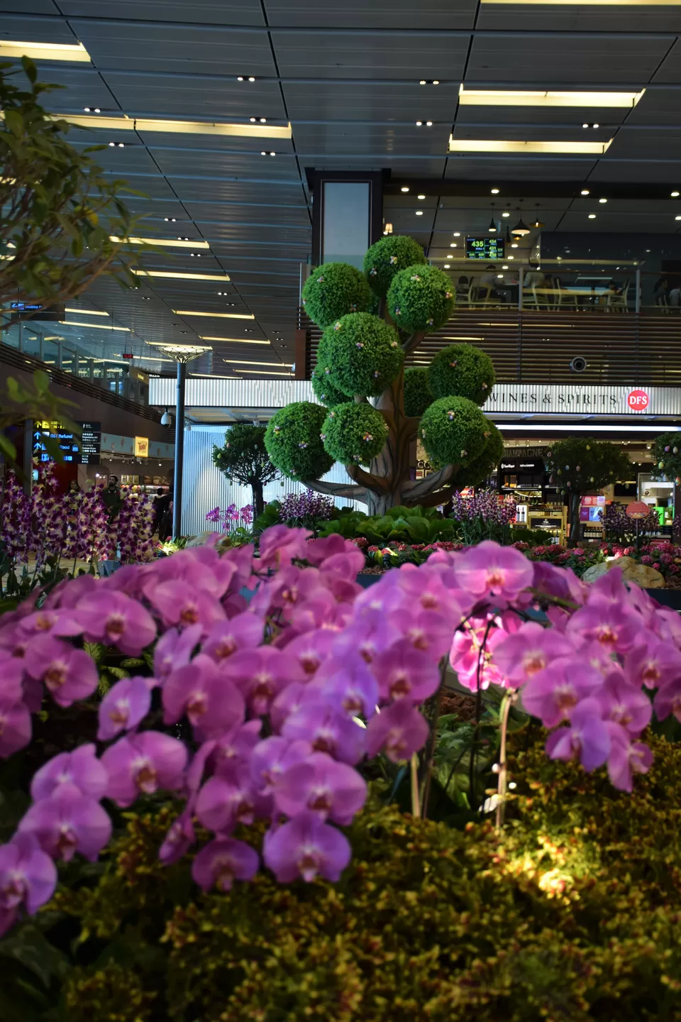 Photo of Airport Boulevard, Changi International Airport (SIN), Singapore by Dheeraj Balla