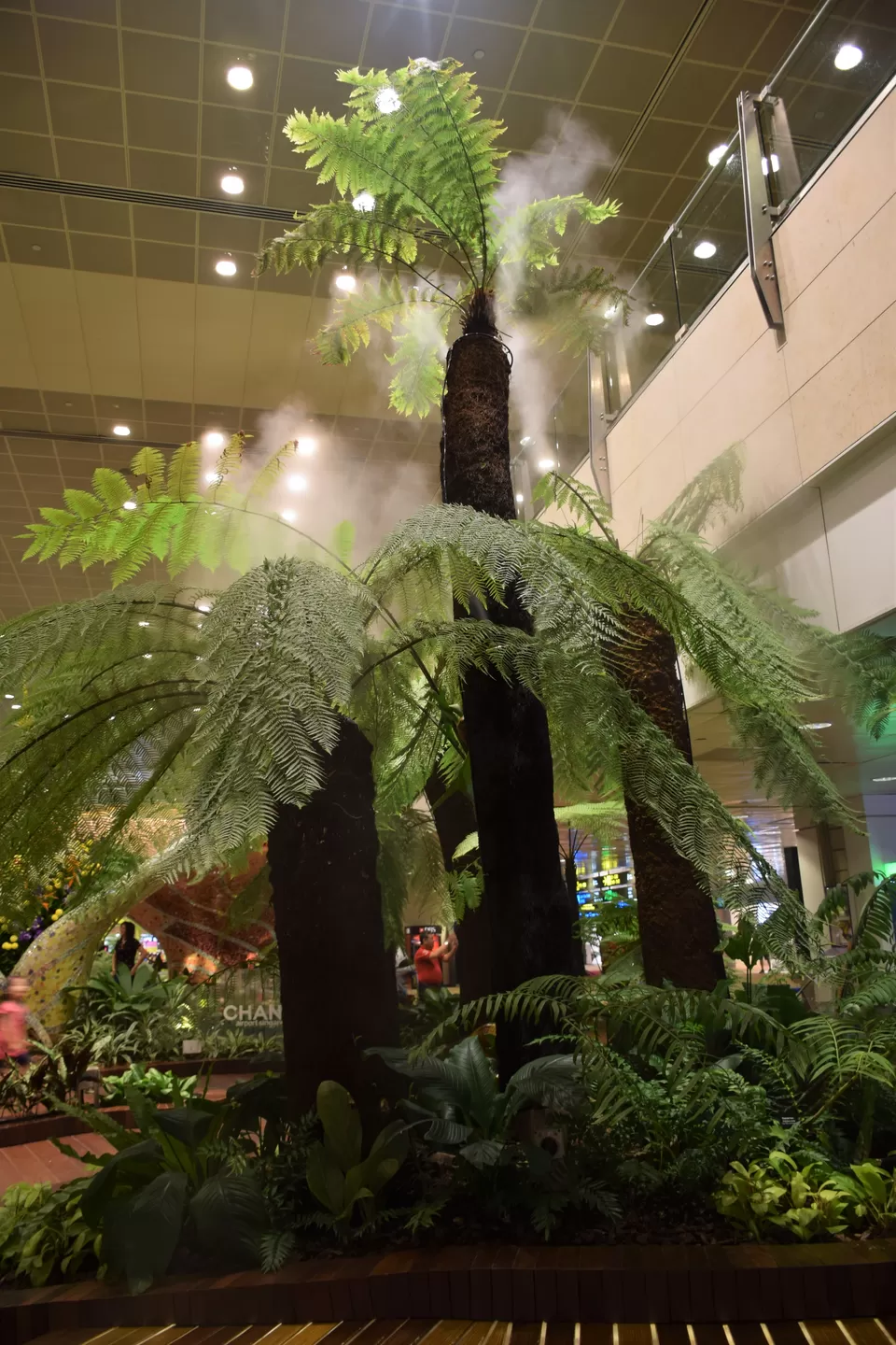 Photo of Airport Boulevard, Changi International Airport (SIN), Singapore by Dheeraj Balla