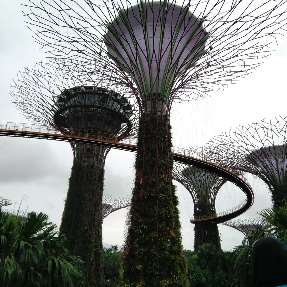 Photo of Marina Gardens Drive, Gardens by the Bay, Singapore by Dheeraj Balla