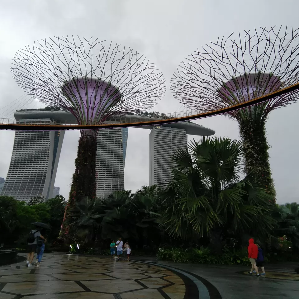 Photo of Marina Gardens Drive, Gardens by the Bay, Singapore by Dheeraj Balla