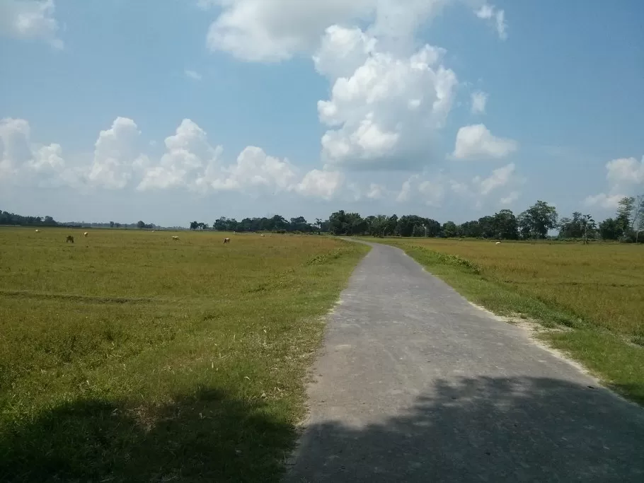 Photo of Majuli, Assam, India by Beardo Raveller
