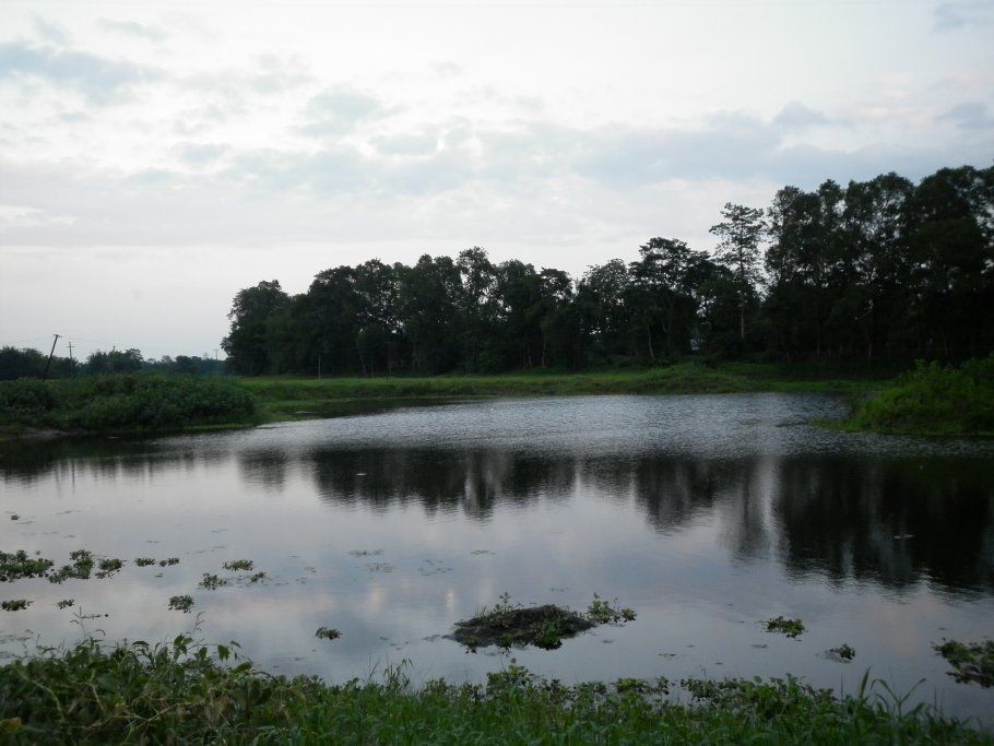Photo of Majuli - World's Largest River Island by Beardo Raveller