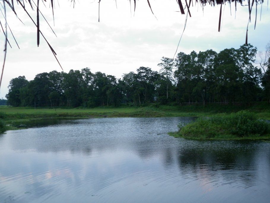 Photo of Majuli - World's Largest River Island by Beardo Raveller