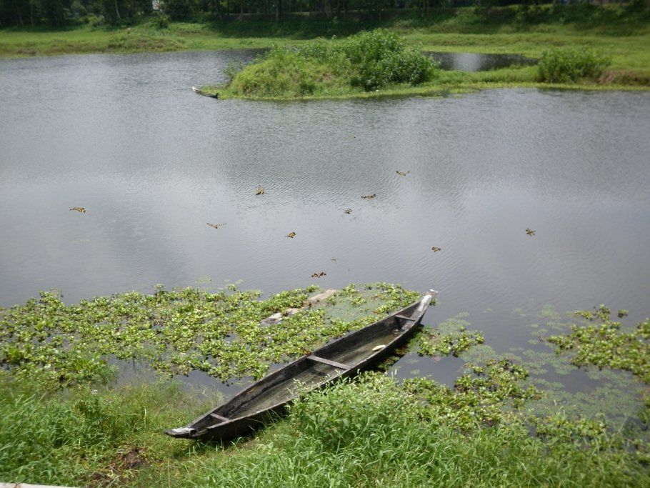Photo of Majuli - World's Largest River Island by Beardo Raveller