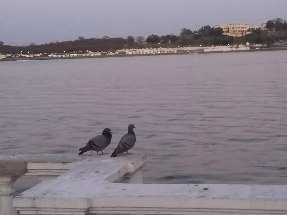Photo of Fateh Sagar Lake, Udaipur, Rajasthan, India by Beardo Raveller