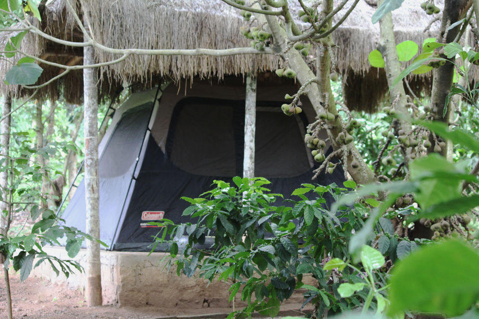 Photo of The Foothill Camp, Kushalnagar, Karnataka, India by Arunraj Rajendran
