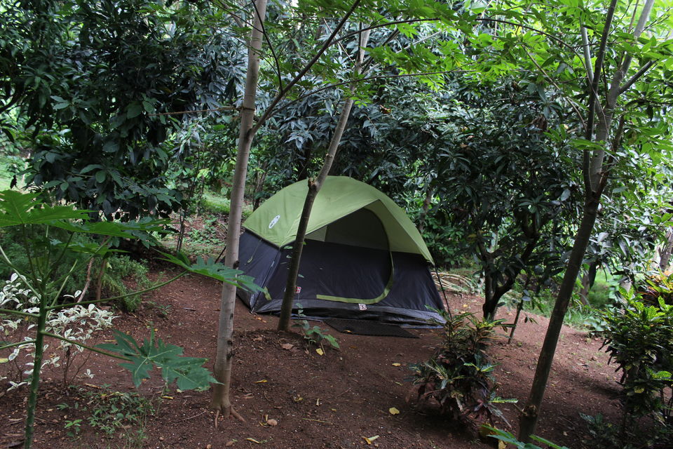 Photo of The Foothill Camp, Kushalnagar, Karnataka, India by Arunraj Rajendran