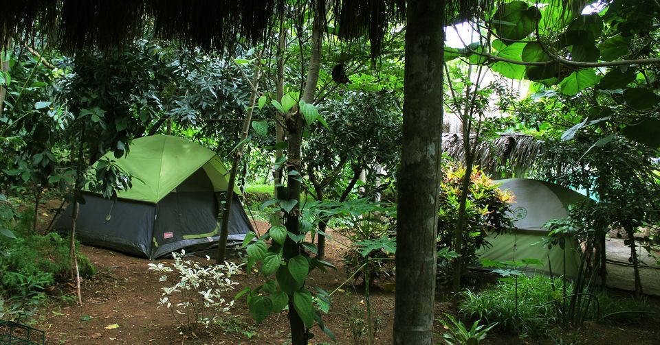 Photo of Waking up in the woods - Coorg Diaries by Arunraj Rajendran