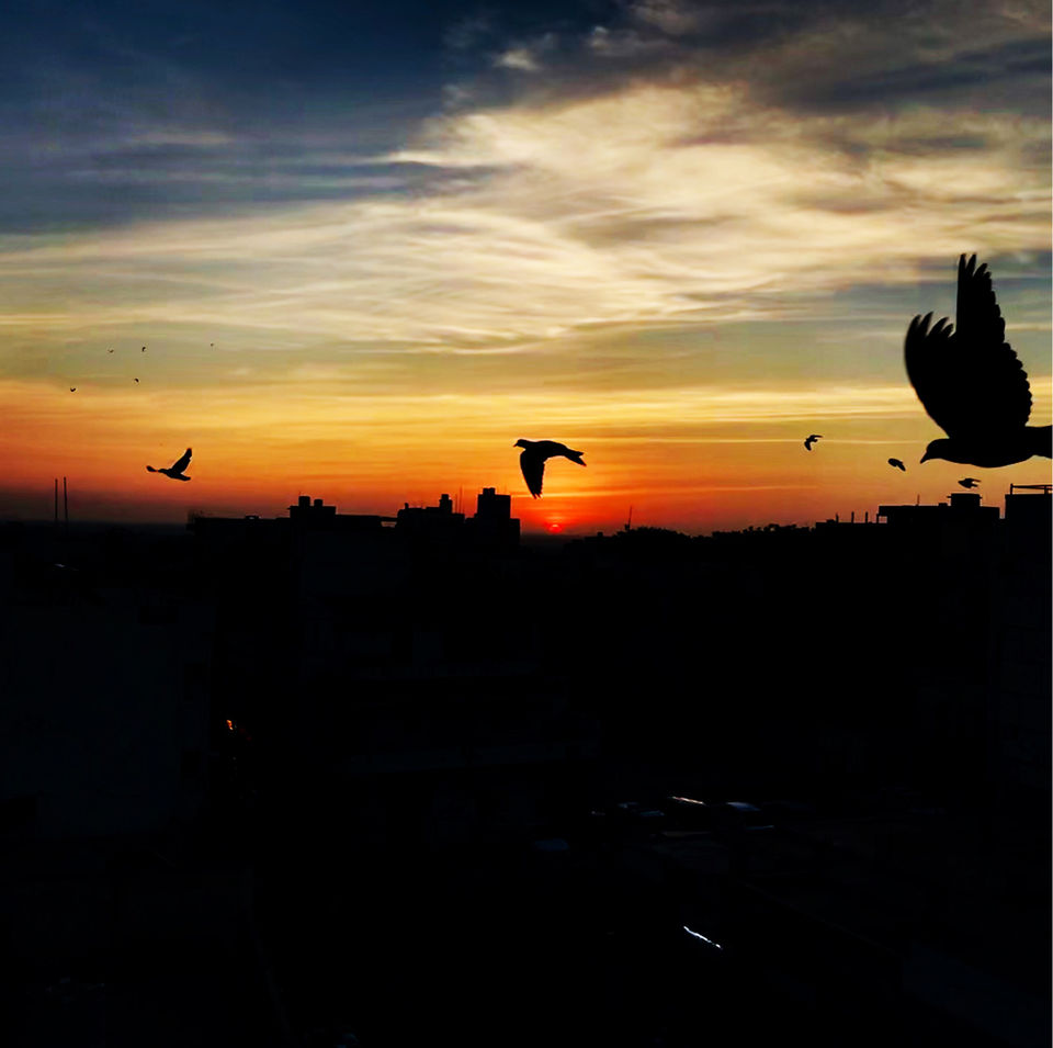 Photo of The Reminiscences Of Dwarka And Beyt Dwarka by Solaceonwheels