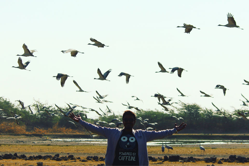 Photo of A Drive through Panoramic West Coast of Gujarat: Porbandar।Madhavpur। Somnath। by Solaceonwheels