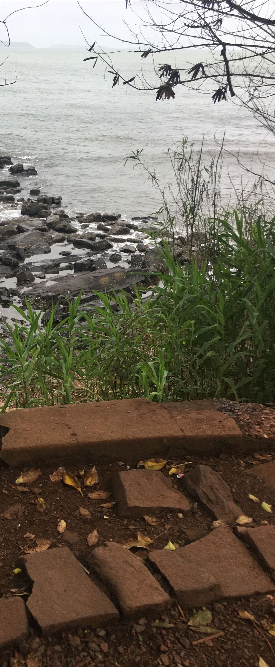 Photo of A Quick Guide to Goa 1/7 by Neha Chadha