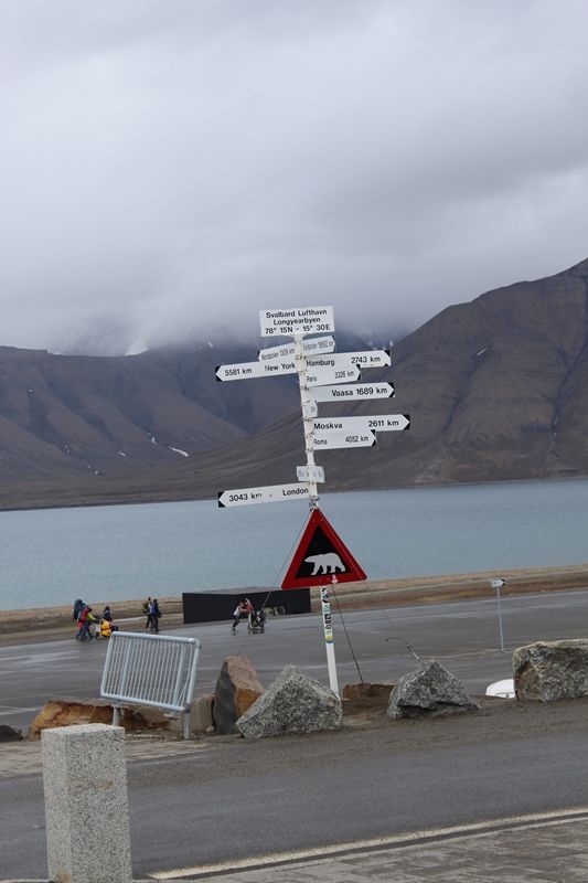 Photo of Why Svalbard should be your next travel destination! 1/26 by Ayushee Agarwal