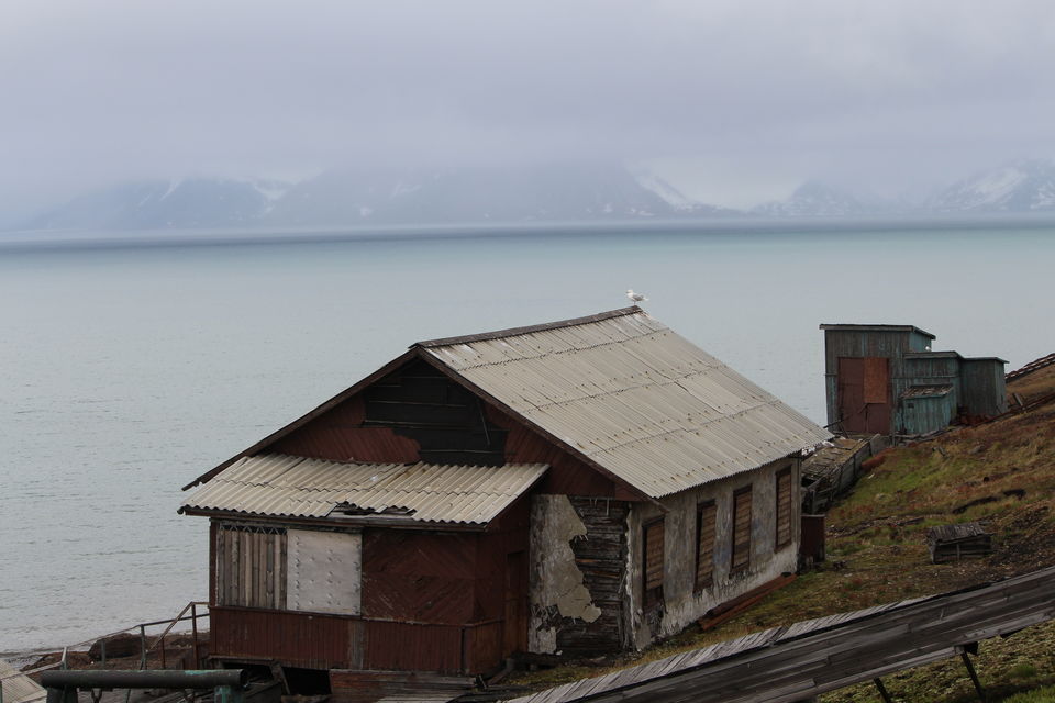 Photo of Why Svalbard should be your next travel destination! 18/26 by Ayushee Agarwal