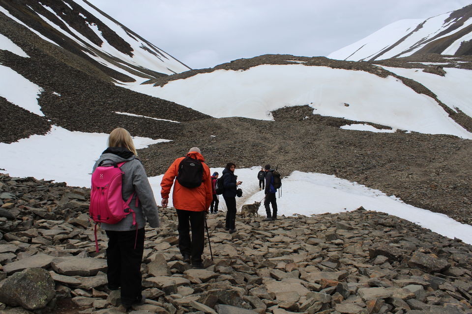 Photo of Why Svalbard should be your next travel destination! 20/26 by Ayushee Agarwal
