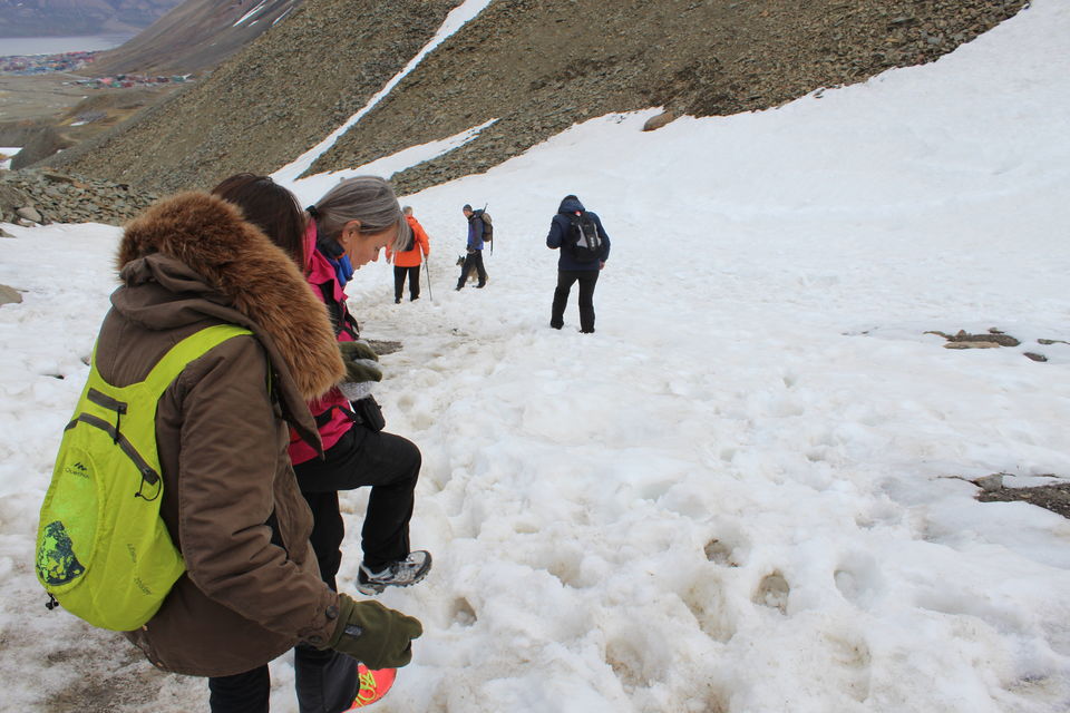 Photo of Why Svalbard should be your next travel destination! 22/26 by Ayushee Agarwal