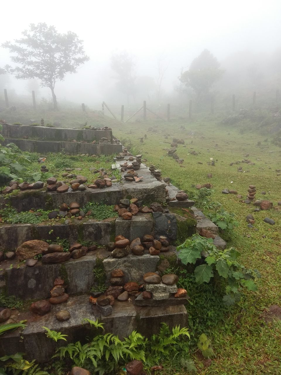 Photo of Unplanned trip to Coorg-Scotland of India by Vijithake