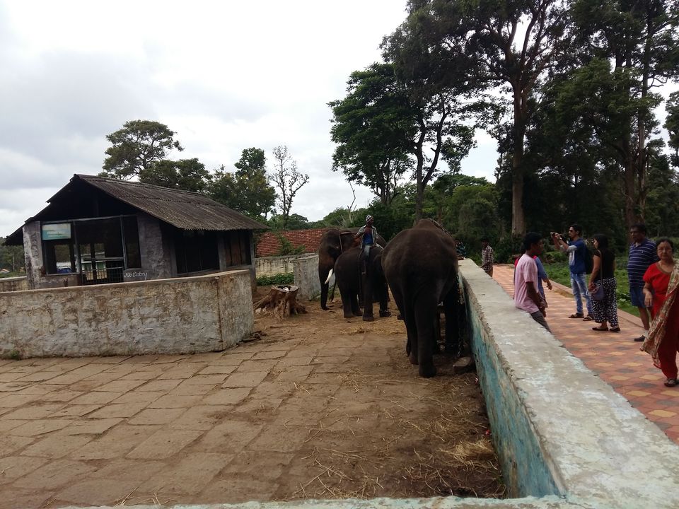 Photo of Unplanned trip to Coorg-Scotland of India by Vijithake