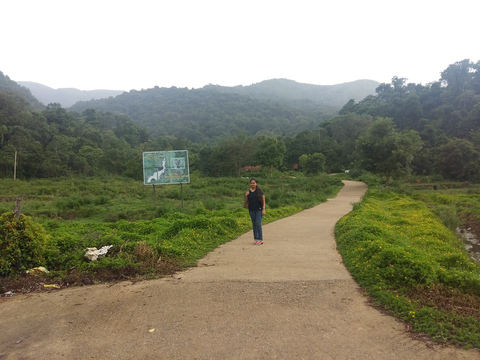 Photo of Unplanned trip to Coorg-Scotland of India by Vijithake
