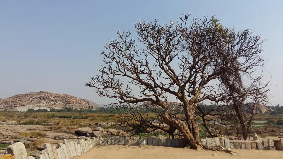 Photo of Anegondi, Karnataka, India by Vijithake