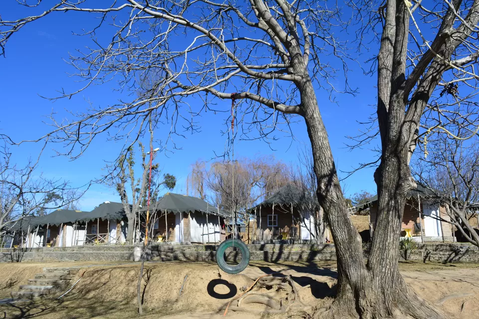 Photo of Hotel Jungle Livinn - Resort at Hill Top, Kufri - Chail Road, Chail, Himachal Pradesh, India by Sudhir Sahani