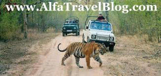 Photo of My visit To Ranthambore National Park 5/10 by Shailja Daga