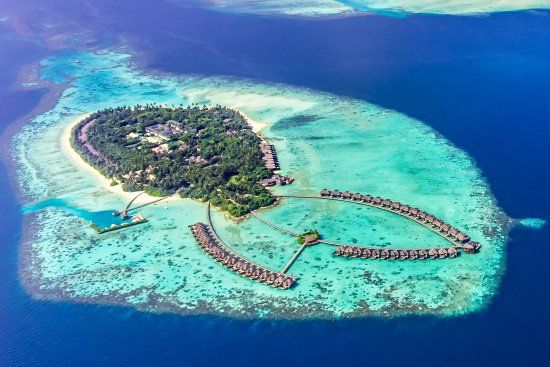 Photo of Mesmerising Maldives by Shailja Daga