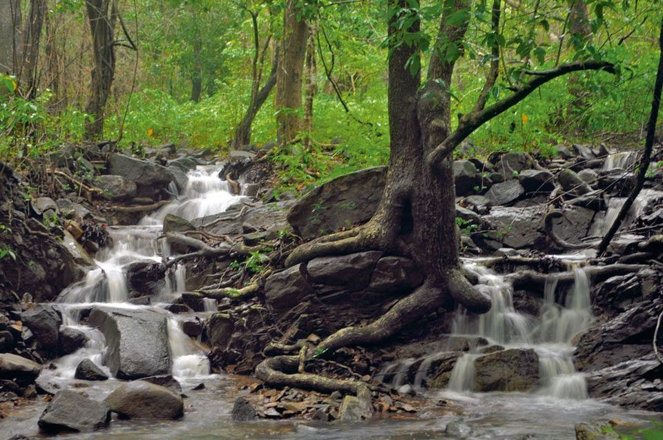 Photo of Fuel your inner wanderlust with these enjoyable things to do in GOA with family 41/42 by Shailja Daga