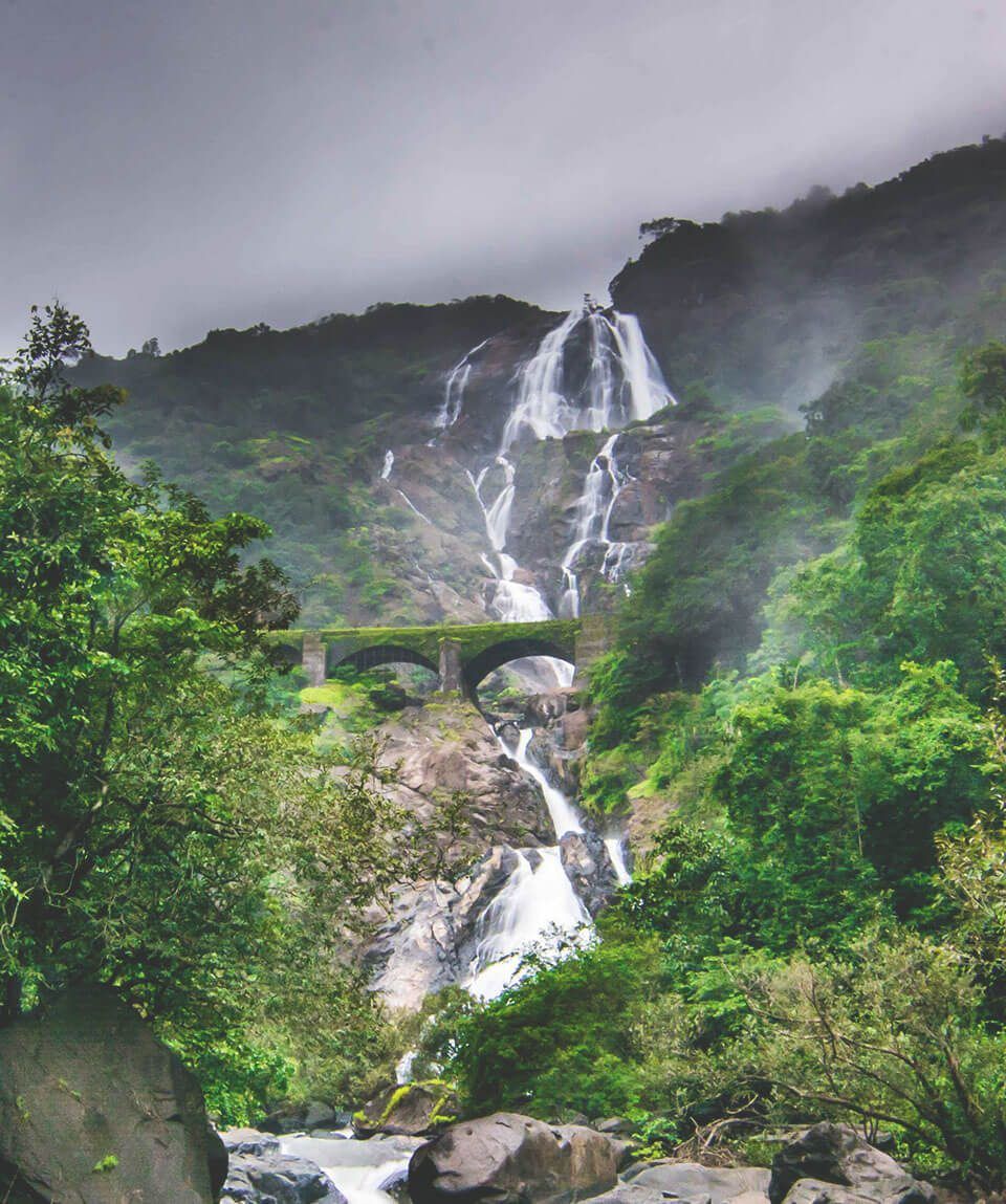 Photo of Fuel your inner wanderlust with these enjoyable things to do in GOA with family 25/42 by Shailja Daga