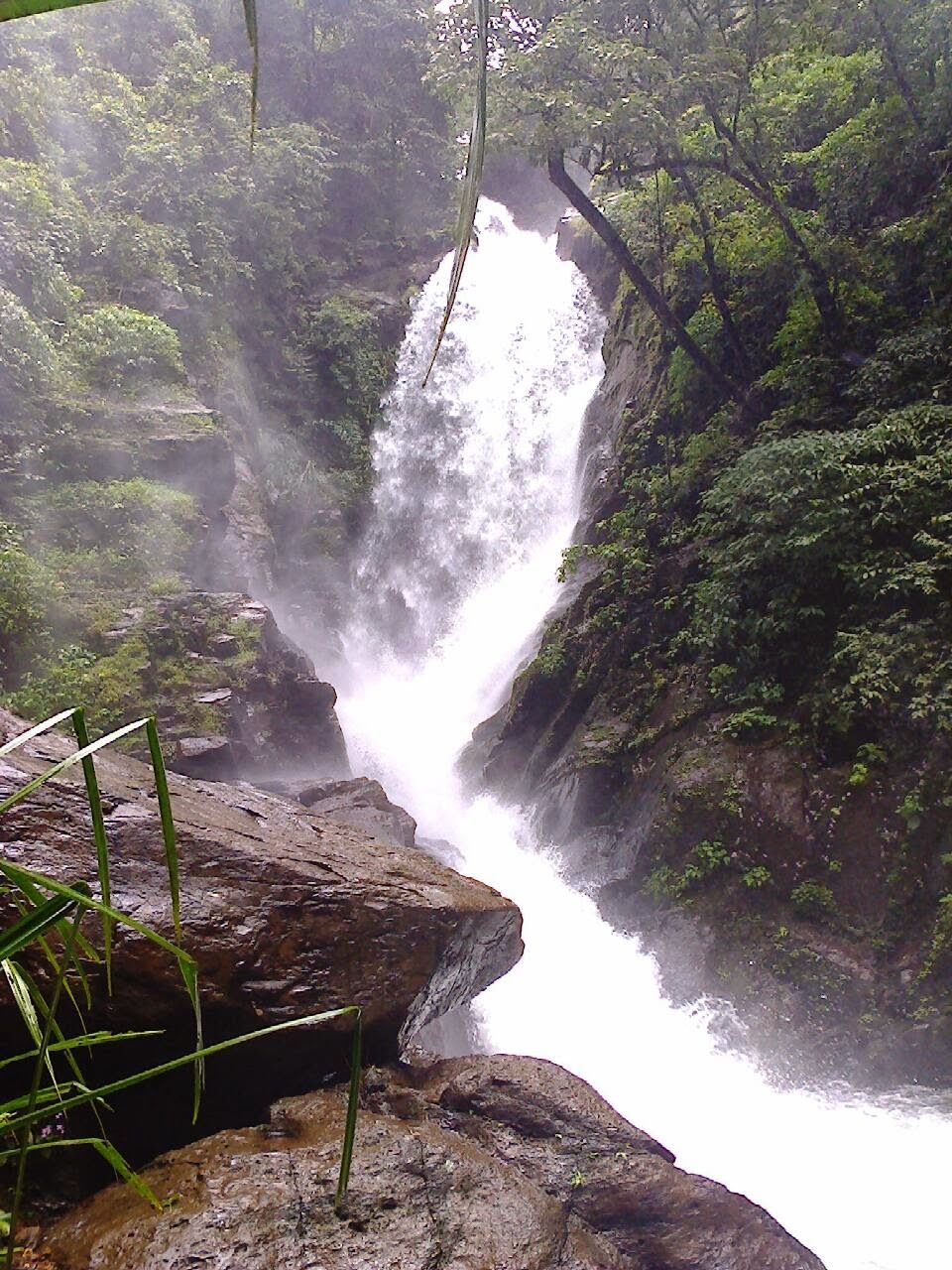 Photo of Fuel your inner wanderlust with these enjoyable things to do in GOA with family 28/42 by Shailja Daga