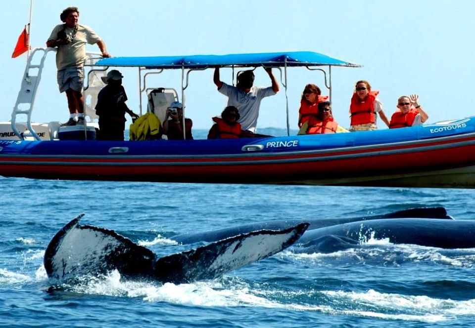 Photo of Fuel your inner wanderlust with these enjoyable things to do in GOA with family 9/42 by Shailja Daga