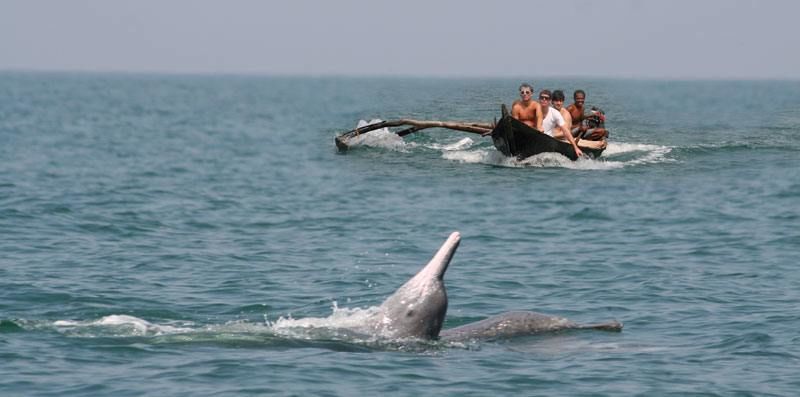 Photo of Fuel your inner wanderlust with these enjoyable things to do in GOA with family 10/42 by Shailja Daga
