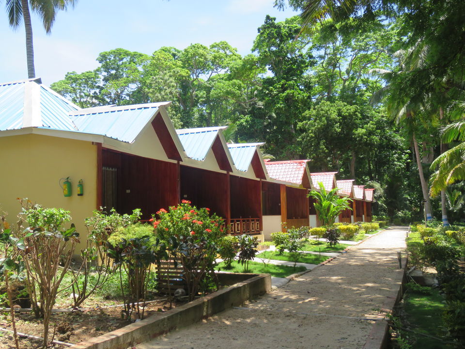 Photo of Neil Island, South Andaman, Andaman and Nicobar Islands, India by Mr. Beardo