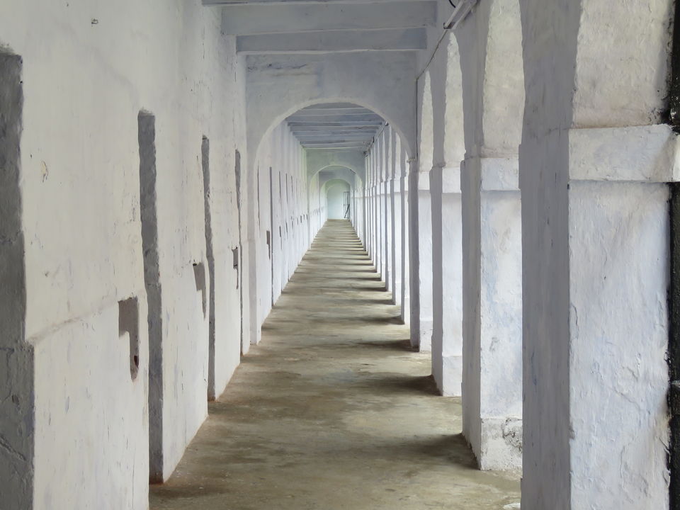 Photo of Island Tales - 7 Days In Andamans by Mr. Beardo