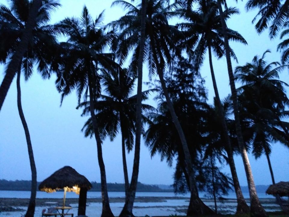 Photo of Dive responsibly! That’s what Eco Villa Palm Beach Resort in Havelock Island, Andaman teaches us. 9/10 by Married to a Beardo